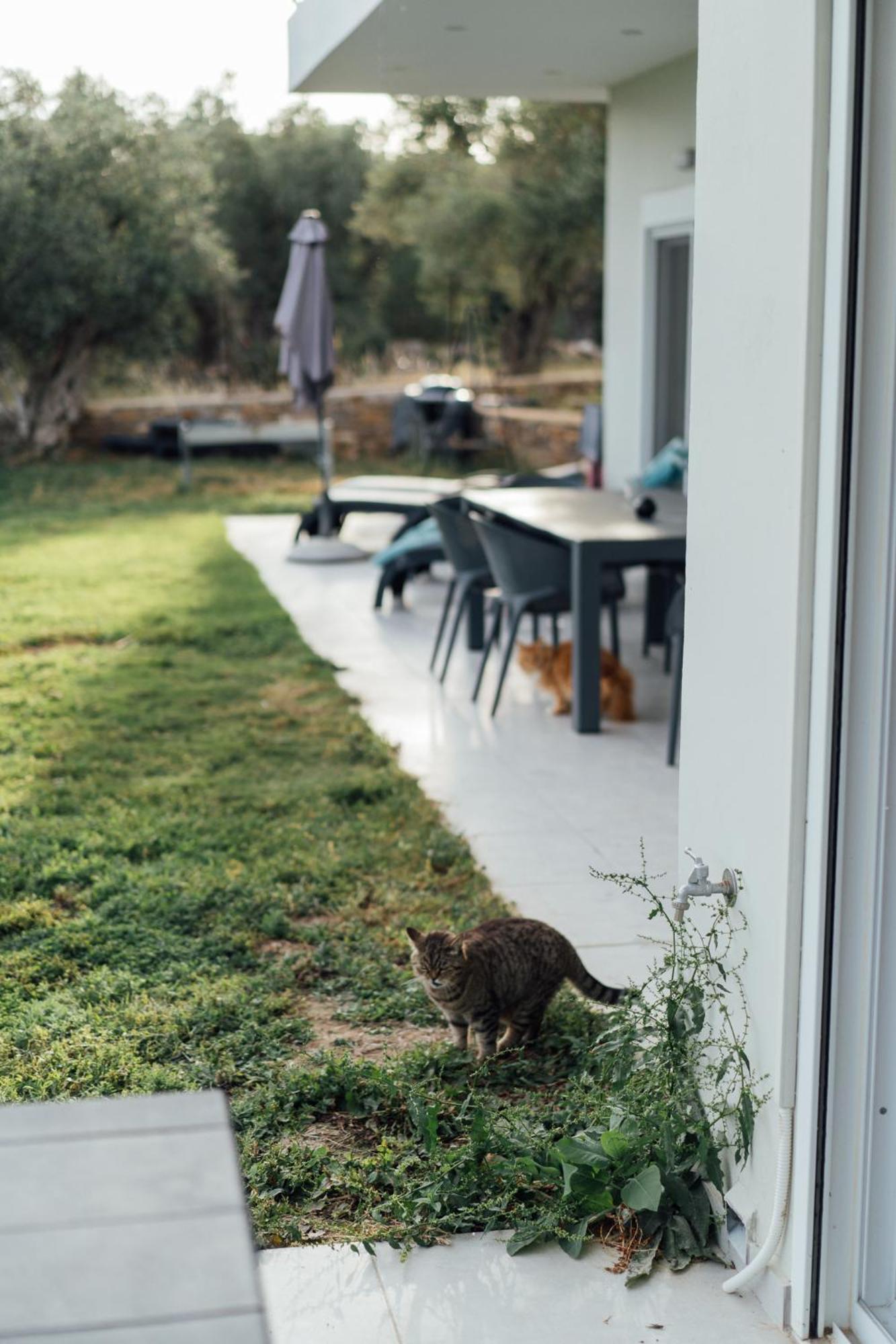 Blue Waves Luxury Suites By The Sea Plomari Exterior foto